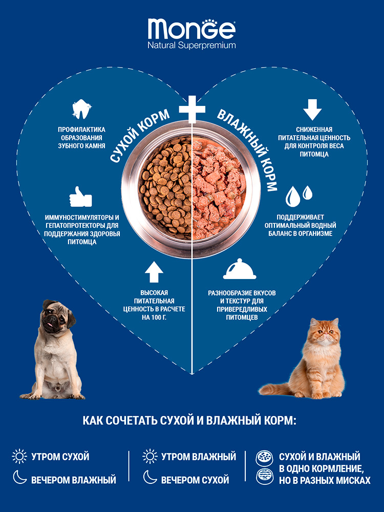 Monge dog speciality line monoprotein сухой корм монопротеиновый с лососем с рисом для взрослых собак миниатюрных пород