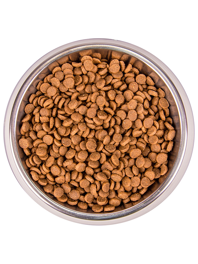 Monge cat speciality line monoprotein сухой корм из форели для котят и беременных кошек