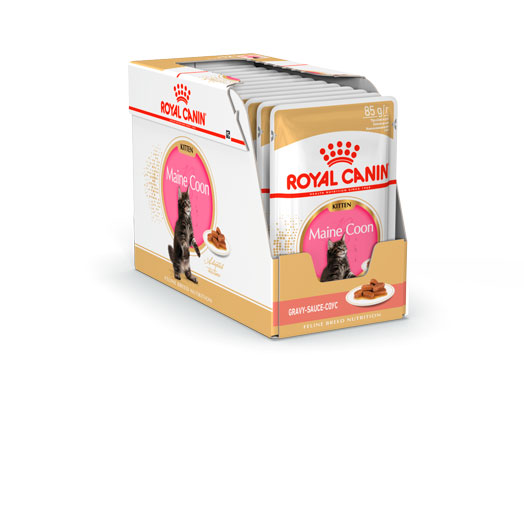 Royal canin maine coon kitten корм консервированный для котят породы мэйн кун до 15 месяцев, соус