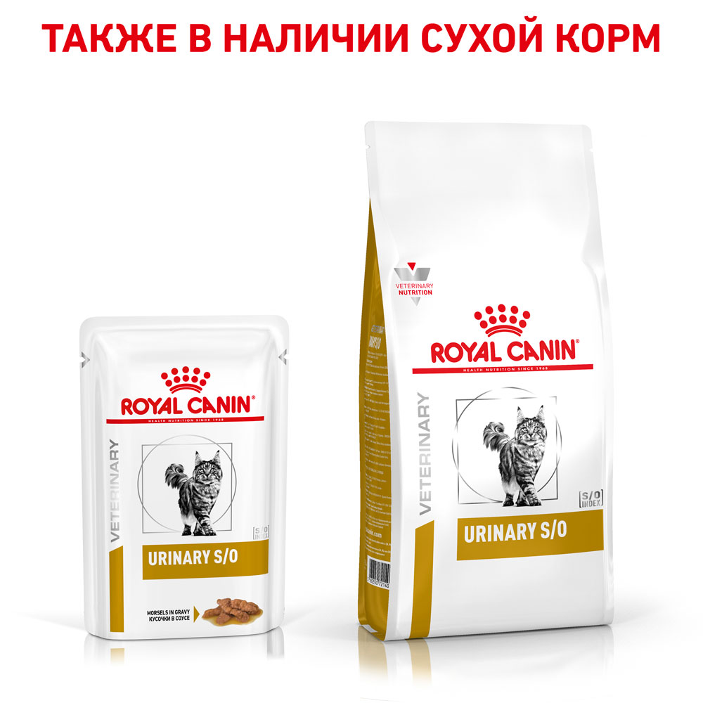 Royal canin urinary s/o корм консервированный полнорационный диетический для кошек, способствующий растворению струвитных камней и предотвращению их повторного образования, в соусе