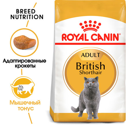 Royal canin british shorthair adult корм сухой сбалансированный для взрослых британских короткошерстных кошек
