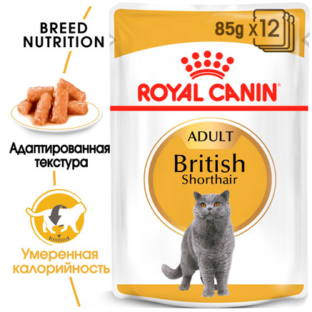 Royal canin british shorthair adult корм консервированный для взрослых британских короткошерстных кошек,соус