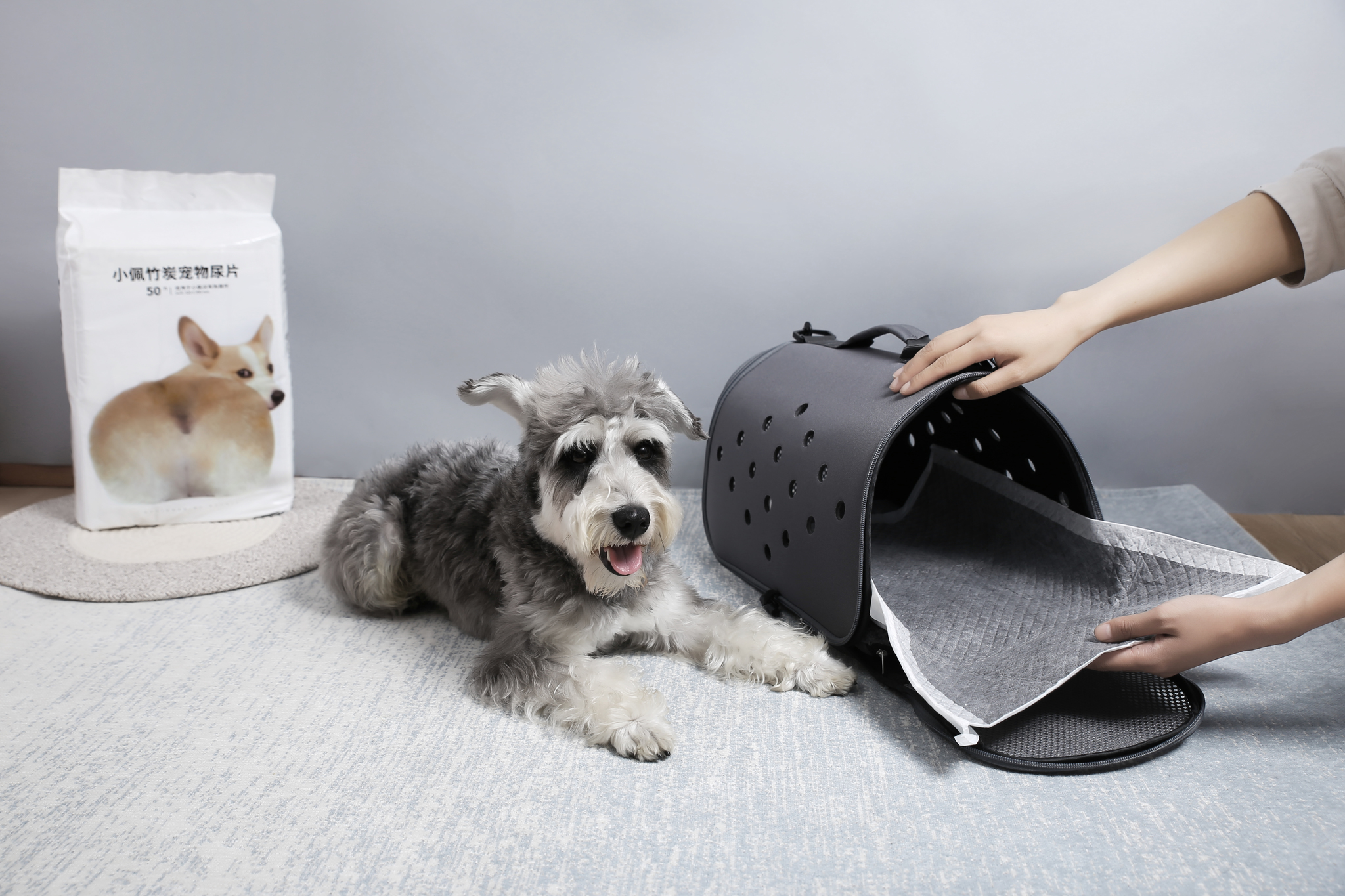 Petkit пелёнка для собак с активированным углем  для лотка pura dog petkit.