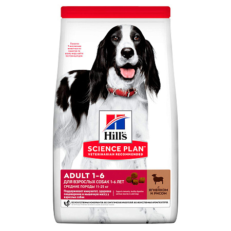 Hill's science plan сухой корм с ягненком и рисом для взрослых собак средних пород для поддержания иммунитета