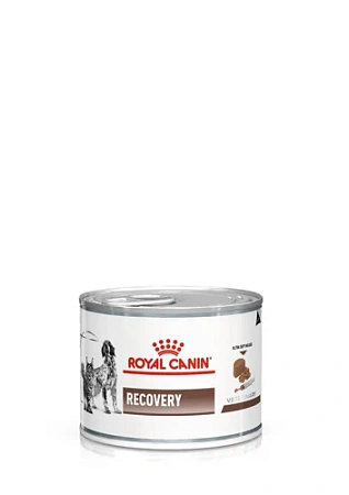 Royal Canin Recovery корм консервированный полнорационный диетический для взрослых собак и кошек, рекомендуемый как поддерживающее и восстанавливающее питание в период выздоровления или при липидозе печени у кошек, мусс