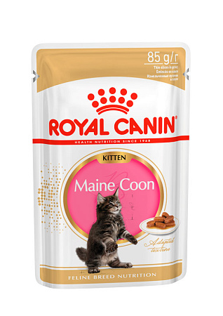 Royal canin maine coon kitten корм консервированный для котят породы мэйн кун до 15 месяцев, соус